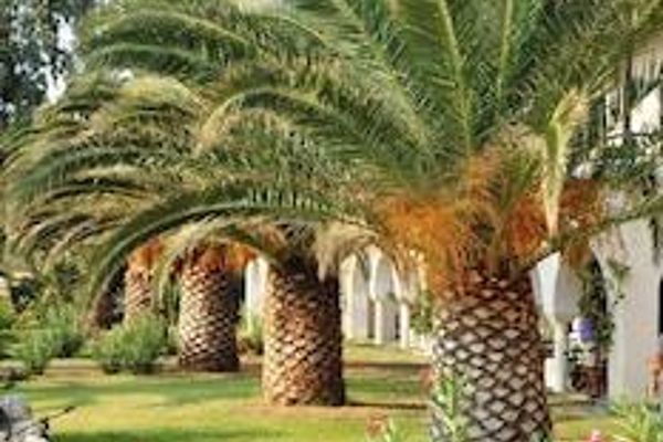Assa Maris Bomo Club Hotel - All Inclusive (Chalkidiki)
